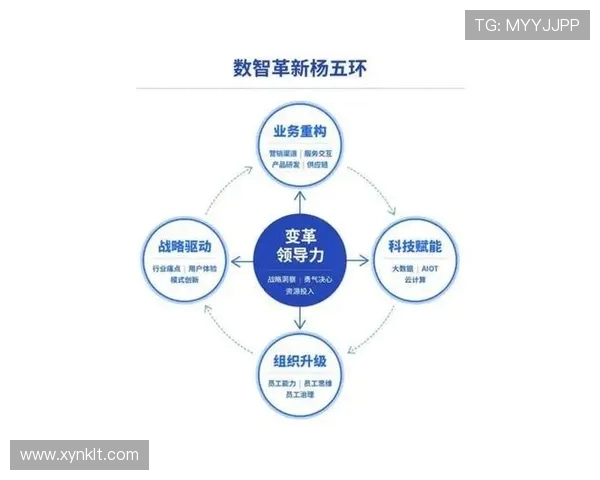 南京乒乓球队防守革新之路探索与实践的深度剖析